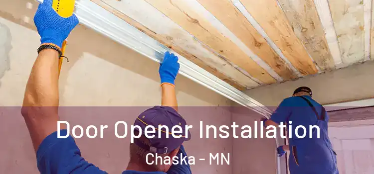  Door Opener Installation Chaska - MN