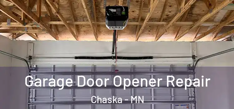  Garage Door Opener Repair Chaska - MN