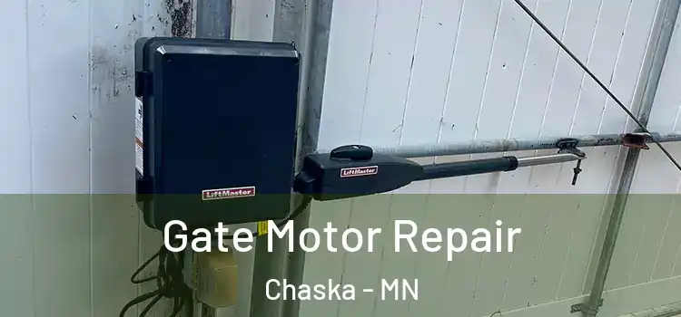 Gate Motor Repair Chaska - MN