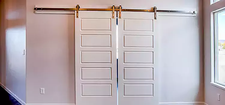 Glass Barn Door with Installation Hardware Kit Chaska