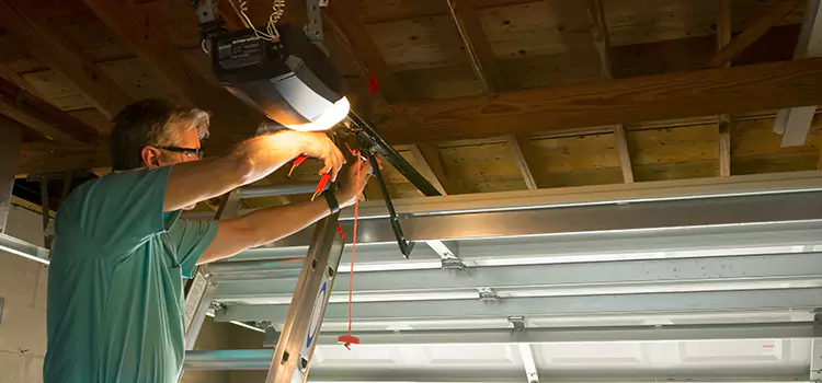 Garage Door Opener Sales and Installation Chaska