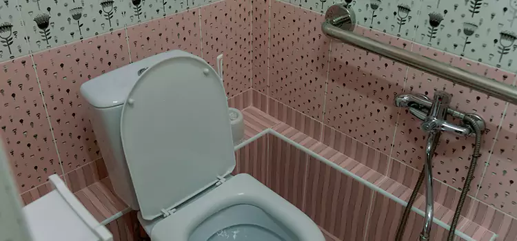 Meeting Diverse Needs With Accessible Restroom Solutions in Chaska, MN