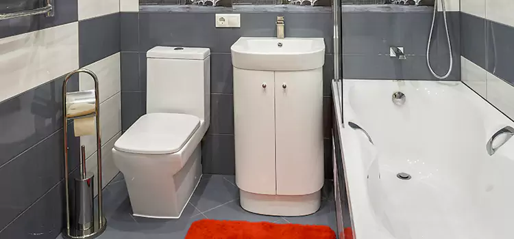Hansgrohe Shaving Mirror Chaska