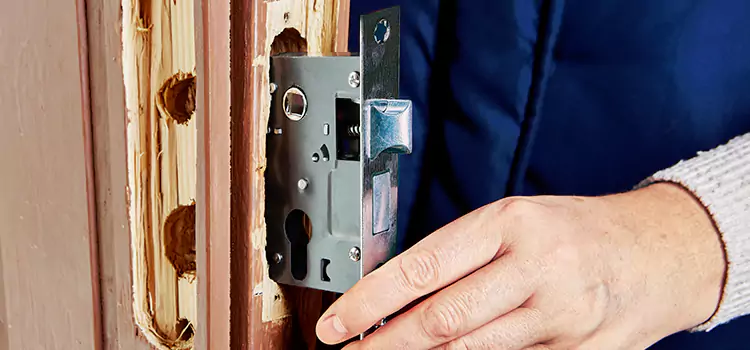 Garage Door Lock Replacement Chaska