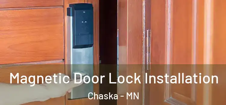  Magnetic Door Lock Installation Chaska - MN